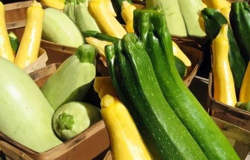 吃瓜娱乐营养,营养生活新风尚