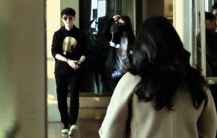 娱乐吃瓜酱爱情,娱乐吃瓜酱的爱情奇遇记