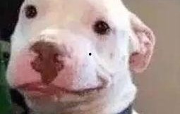 微信公众号娱乐圈吃瓜,揭秘明星背后的故事与真相